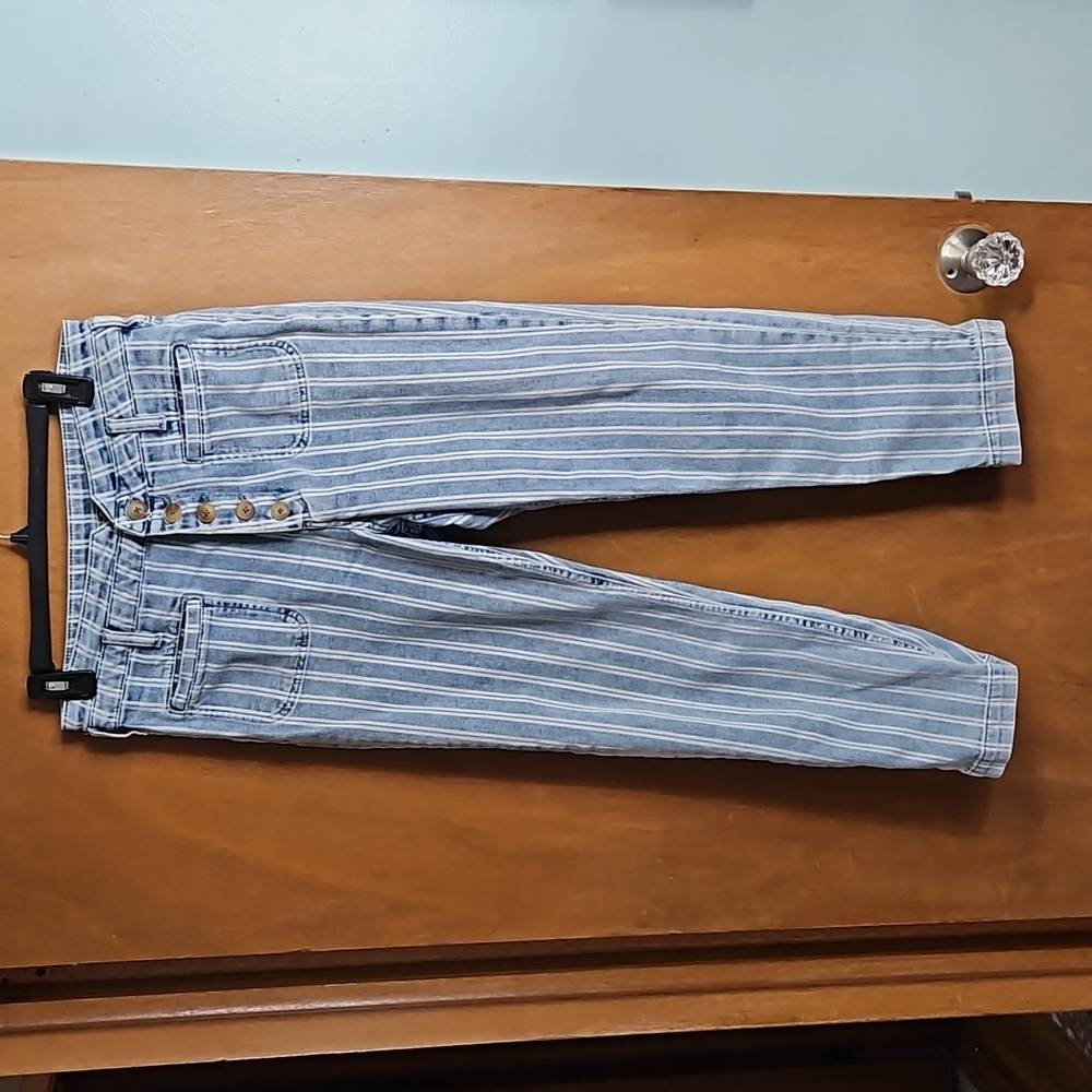 Anthropologie Pilcro & the Letterpress Striped High Rise Slim Cropped Jeans 29